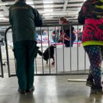 British Flyball Indoor Champs 2023