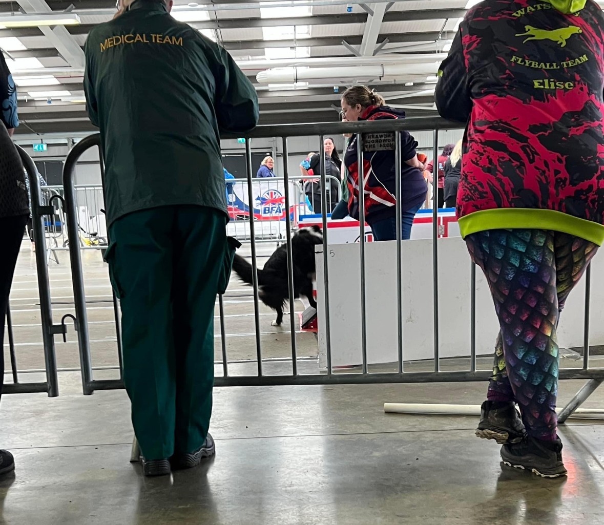 British Flyball Indoor Champs 2023